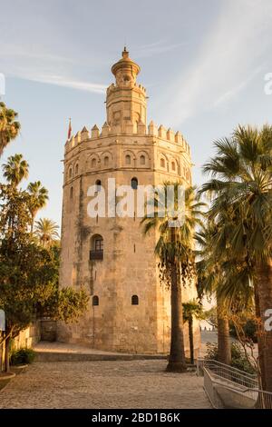 Der Turm von Gold oder Torre del Oro in Sevilla Spanien und der alte Wachturm. Stockfoto