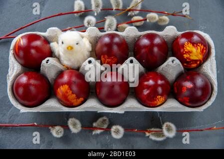 Ostereier in einem Pappkarton, ein flauschiges Spielzeughuhn und Weidenzweige auf grauem Grund. Stockfoto