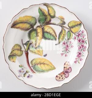 Platte. Forschung in ProgressA-Platte mit welligem, braunem Rand, bemalt mit einem großen blühenden Zweig, einem kleinen Sprig blauen Morgenglorms und Insekten. Platte Stockfoto