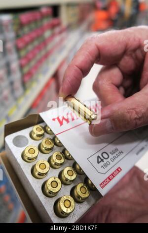 Munition der Marke Winchester, USA Stockfoto