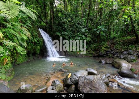 Cascade aux Ecrevisses, Flusskrebse, Parc National de la Guadeloupe, Guadeloupe National Park, Basse Terre, Guadeloupe, Karibik Stockfoto