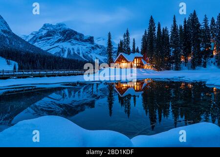 Cilantro am Smaragdsee im Winter, Emerald Lake, Yoho National Park, UNESCO, British Columbia, Canadian Rockies, Kanada Stockfoto