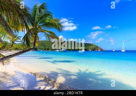 Atemberaubende Saltwhistle Bay, Jachten, weißer Strand, blaues Meer, überhängende Palmen, Mayreau, Grenadinen, St. Vincent und die Grenadinen, Karibik Stockfoto