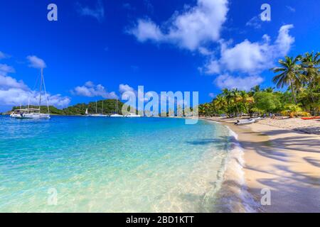 Saltwhistle Bay, weißer Strand, türkisfarbenes Meer, Jachten, Palmen, Mayreau, Grenadinen, St. Vincent und die Grenadinen, Windward Islands, Karibik Stockfoto