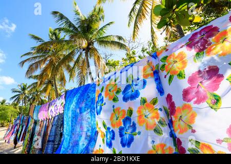 Schöne Hängebutten mit Hintergrundbeleuchtung, weißer Sandstrand, Palmen, Sonne, Saltwhistle Bay, Mayreau, Grenadinen, St. Vincent und die Grenadinen, Karibik Stockfoto