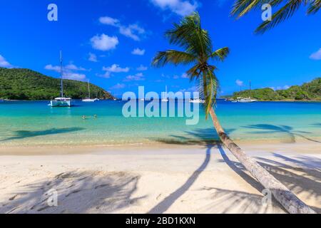 Atemberaubende Saltwhistle Bay, Jachten, weißer Strand, blaues Meer, überhängende Palmen, Mayreau, Grenadinen, St. Vincent und die Grenadinen, Karibik Stockfoto