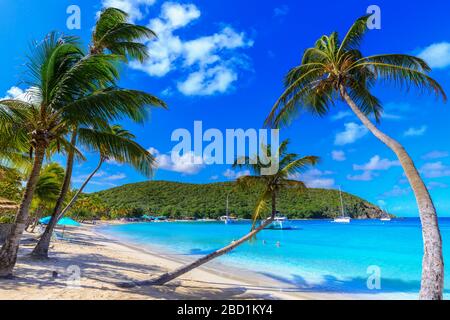 Atemberaubende Saltwhistle Bay, Jachten, weißer Strand, blaues Meer, überhängende Palmen, Mayreau, Grenadinen, St. Vincent und die Grenadinen, Karibik Stockfoto