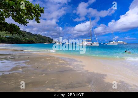 Schöne Princess Margaret Beach, Port Elizabeth, Admiralty Bay, Bequia, die Grenadinen, St. Vincent und die Grenadinen, Windward Islands, Karibik Stockfoto
