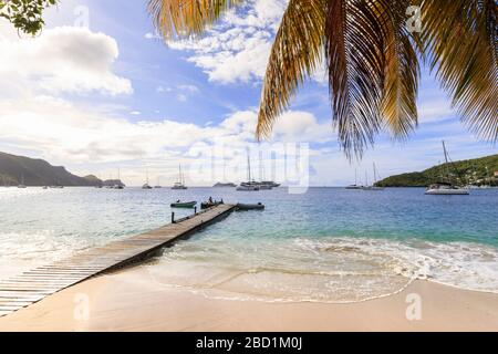 Ruhige Karibik, Palme am Seeufer, Bootsanlegesteg, schöner Port Elizabeth, Admiralty Bay, Bequia, St. Vincent und die Grenadinen, Karibik Stockfoto
