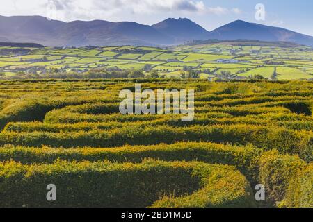 The Peace Maze, Castlewellan, County Down, Ulster, Nordirland, Großbritannien, Europa Stockfoto