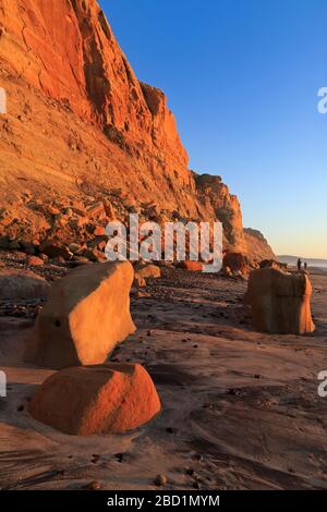 Erdrutsch, Torrey Pines State Beach, Del Mar, San Diego County, Kalifornien, Vereinigte Staaten von Amerika, Nordamerika Stockfoto