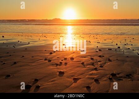 Torrey Pines State Beach, Del Mar, San Diego County, Kalifornien, Vereinigte Staaten von Amerika, Nordamerika Stockfoto