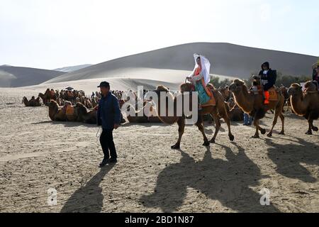 Touristen auf Kamelen, die in die singenden Sanddünen in Dunhuang, Provinz Nordwest-Gansu, China, Asien, geführt werden Stockfoto