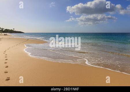 Tropischer Strand Anse de la Perle, Sonnencreme, goldener Sand, Fußabdrücke, Tod in Paradise Location, Deshaies, Guadeloupe, Leeward Islands, Karibik