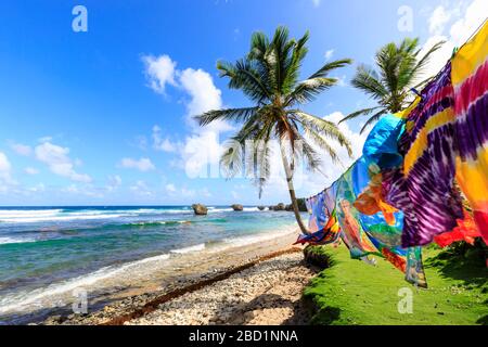 Bathsheba, bunte Kleidungsstücke wehten in der Brise, windabgewehte Palmen, atlantische Wellen, zerklüftete Ostküste, Barbados, Windward Islands, Karibik Stockfoto