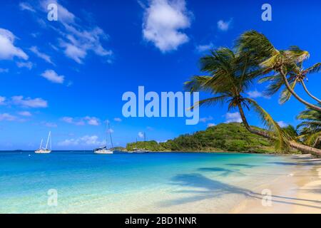 Atemberaubende Saltwhistle Bay, Jachten, weißer Strand, blaues Meer, überhängende Palmen, Mayreau, Grenadinen, St. Vincent und die Grenadinen, Karibik Stockfoto