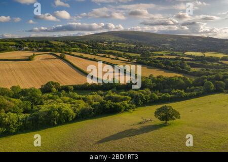 luftbild mit der Drohne der Landschaft, Devon, England, Großbritannien, Europa Stockfoto