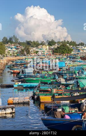 Fischerboote im Hafen, Cheung Chau, Hongkong, China, Asien Stockfoto