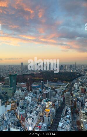 Blick auf die Skyline von Shinjuku und die Innenstadt bei Sonnenuntergang, Tokio, Honshu, Japan, Asien Stockfoto