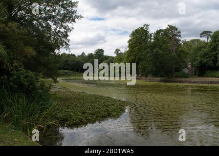 National Trust Claremont Landscape Garden, Portsmouth Road, Esher, Surrey KT10 9JG Stockfoto