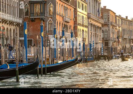 Leere Gondeln, die an hölzerne Ankerpfosten entlang des Canale Grande in der späten Nachmittagssonnenlichteinfall gebunden sind, Venedig, Italien Stockfoto