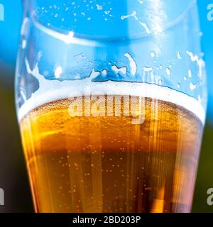 Helles Bier in einem Glas Weinglas bei einem Picknick auf der Natur Stockfoto