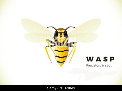 WASP Cartoon Illustration isoliert auf weißem Hintergrund. Giftiges Insekt. Gelbe Wespe. Vektor Stock Vektor