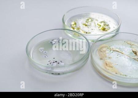 Viren und Bakterien in einer Petrischale, verschiedene Analysen im Labor. Virologie und Virusforschung, Konzept. Weißer Hintergrund. Stockfoto