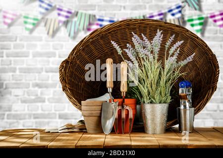 Korb- und Gartenwerkzeuge für die Gartenarbeit. Frühlingszeit zum Aufräumen des Gartens. Platz für Produkte auf einem Holztisch. Stockfoto