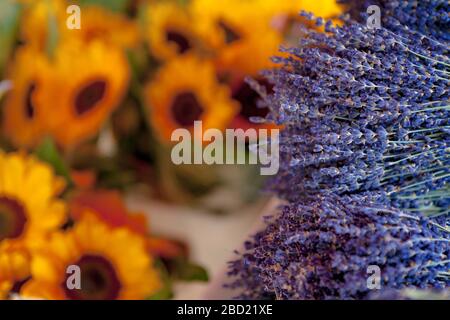 Lavendel und Sonnenblumen auf einem Markt in Lourmarin, Luberon, Provence, Frankreich Stockfoto