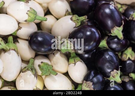 Frischer Bio-Aubergbau auf dem Bauernmarkt Stockfoto