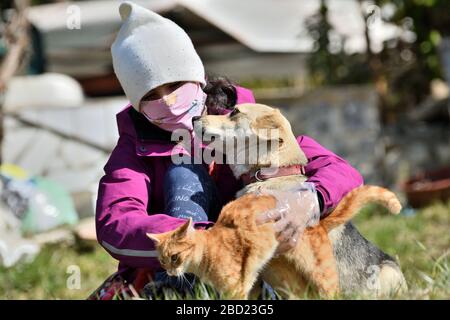 Hund Und Katze In Medizinischer Gesichtsmaske Atemschutzmaske Im Freien Medizinisches Konzept Stockfotografie Alamy