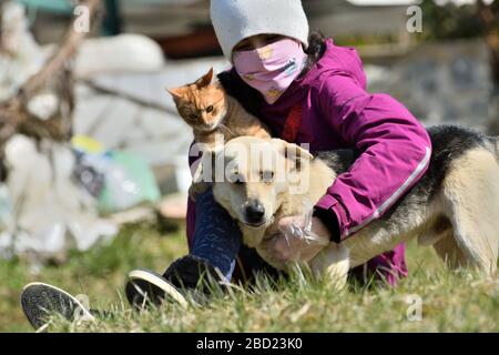 Hund Und Katze In Medizinischer Gesichtsmaske Atemschutzmaske Im Freien Medizinisches Konzept Stockfotografie Alamy