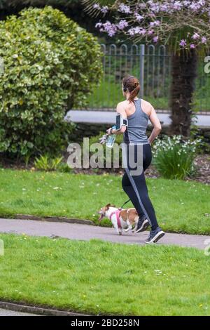 Eine weibliche Läuferin, die mit ihrem Jack Russell-Hund im Trenance Park in Newquay in Cornwall joggt. Stockfoto