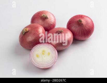 Rote Zwiebelbirnen isoliert auf weißem Hintergrund Stockfoto