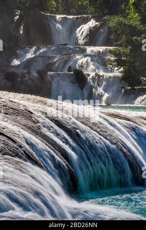 Agua Azul Cascades, Chiapas, Mexiko Stockfoto