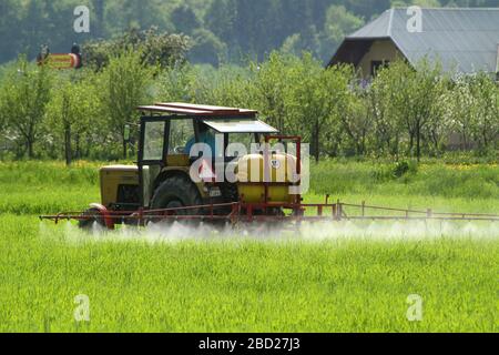 Vom Traktor getragene Spritzmaschine, die das Feld von jungem Getreide sprüht. Stockfoto