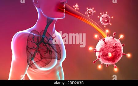 Röntgenansicht der Lunge und Luftröhre, Coronavirus, vom menschlichen Körper. Virus, das die Atmungsorgane angreift. Covid-19. 3D-Rendering. Virusinfektionsausbreitung. Stockfoto