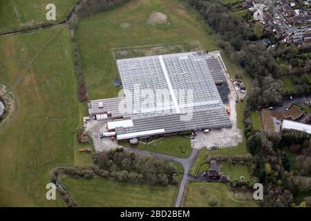 Luftaufnahme von Ingles Dawndew Salad Ltd.-Gelände in Stockfoto