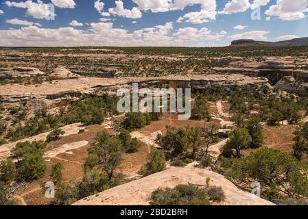 Owachomo Bridge im Natural Bridges National Monument, Utah, USA Stockfoto