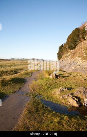 Salt Marsh Humphrey Head Morecambe Bay Cark Cumbria England Stockfoto