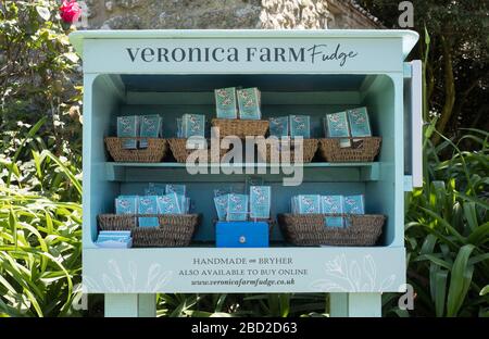 Ehrlichkeit Stand Verkauf Fudge auf Veronica Farm auf Bryher, Isles of Scilly Stockfoto