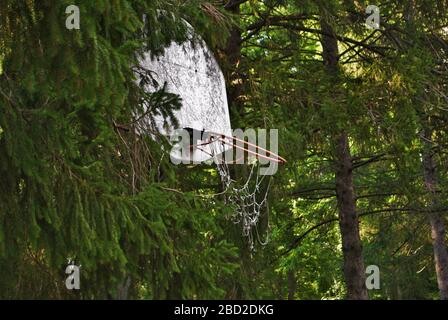 Sehr alter vergangener Basketballkorb, der auseinanderfällt Stockfoto