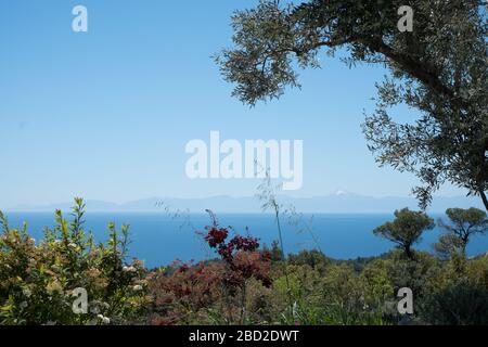 Blick über die Gärten der Infinity 180 Luxury Suites auf Alonissos, in Griechenlands Nordsporaden Stockfoto