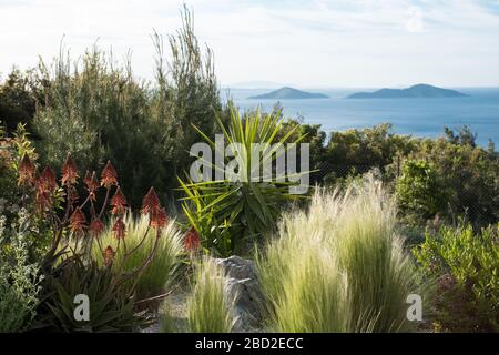 Blick über die Gärten der Infinity 180 Luxury Suites auf Alonissos, in Griechenlands Nordsporaden, mit Blick auf die zwei Brothers Inseln Stockfoto