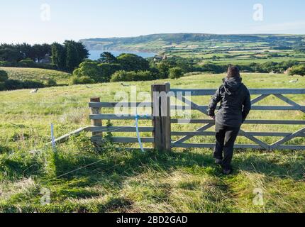 Weibliche Wandererin mit Blick auf Robin Hoods Bay mit Ravenscar auf der Landspitze in der Entfernung vom Hook House Farm Campingplatz. North Yorkshire. VEREINIGTES KÖNIGREICH Stockfoto