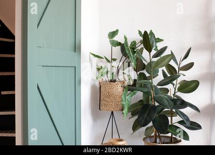 Modernes Wohnzimmer mit grünen Pflanzen und einer grünen Schiebetür. Modernes Retro-Design Stockfoto