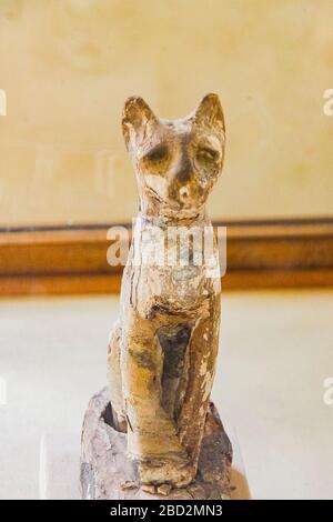 Ägypten, Mittelägypten, Museum von Mallawi, Fotos, die 2009 vor der Plünderung 2013 aufgenommen wurden. Katzensarg, in Form einer Katze. Stockfoto