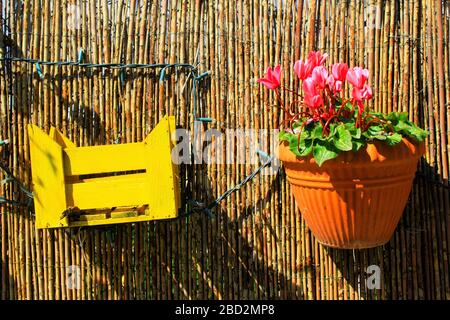 Dekorative Holzkiste und Blumentopf an einem Gartenzaun. Stockfoto