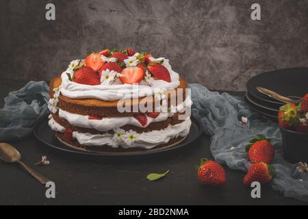 Erdbeerkuchen, Erdbeerschwamm mit frischen Erdbeeren und saurer Sahne auf einer dunklen Küchenplatte. Stockfoto